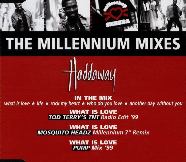 Haddaway - Millennium Mixes - Used Vinyl Record 12" image 1