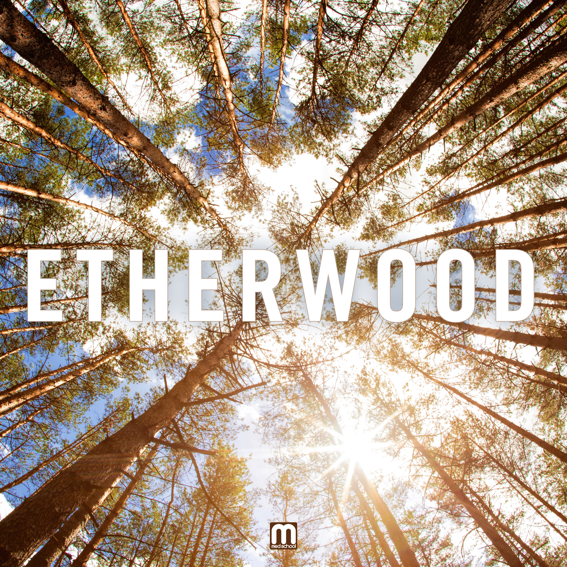 Etherwood - Vinyl Record image 1