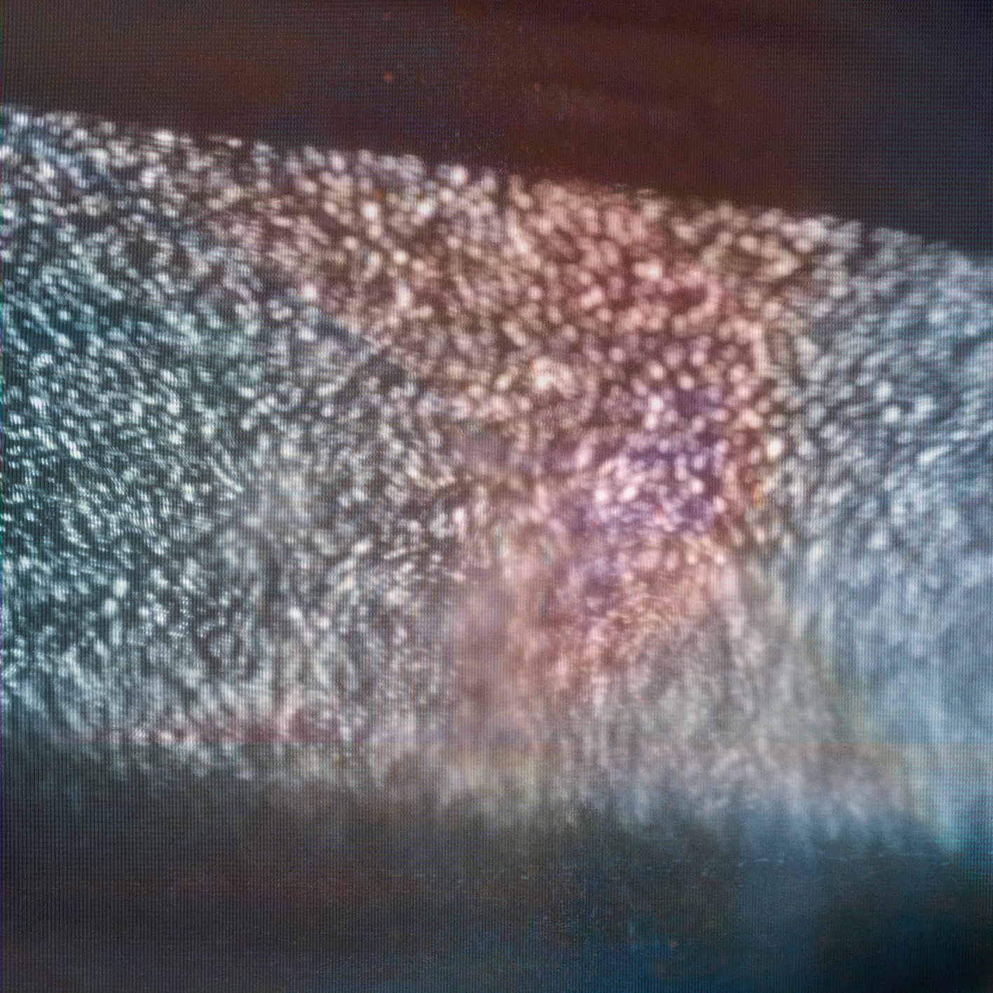 Clams Casino - Instrumentals - Vinyl Record image 1