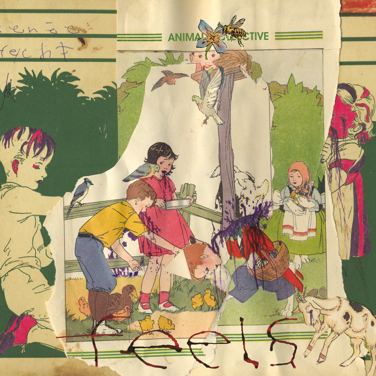 Animal Collective - Feels - CD image 1