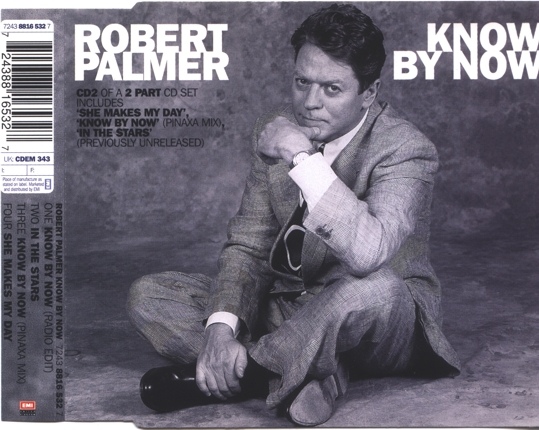 Robert Palmer - Know By Now - Used Vinyl Record 7" image 1