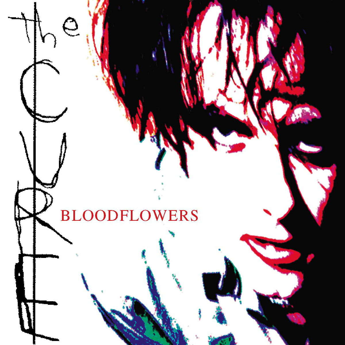 Cure - Bloodflowers - Used CD image 1