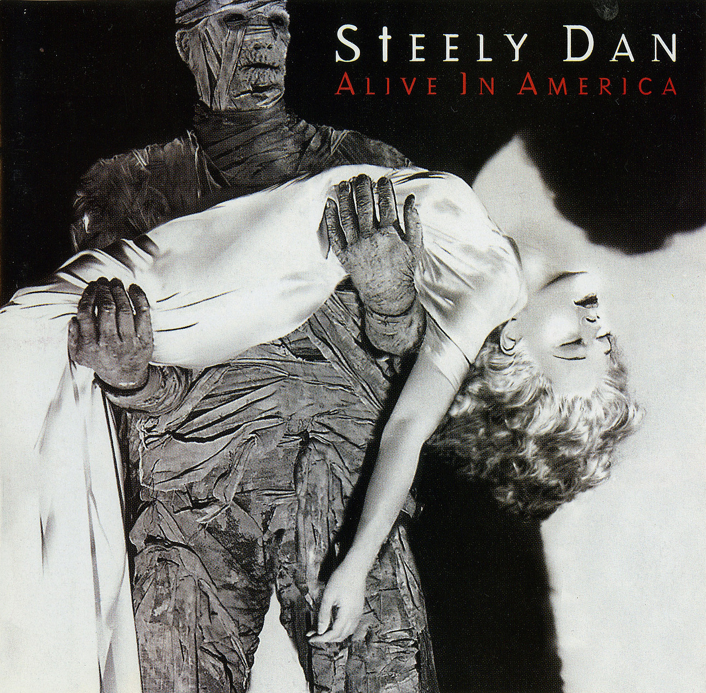 Steely Dan - Alive In America - Used CD image 1