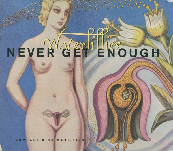 Waterlillies - Never Get Enough - Used Vinyl Record 12" image 1