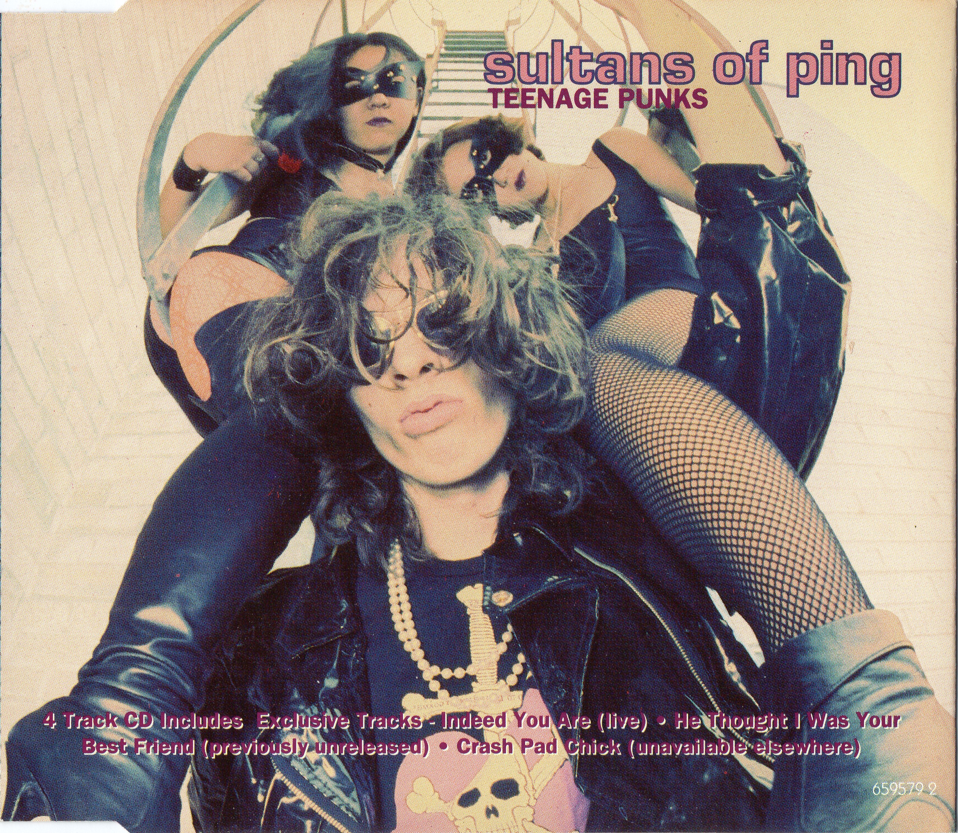 Sultans Of Ping F.C. - Teenage Punks - Used Vinyl Record 12" image 1