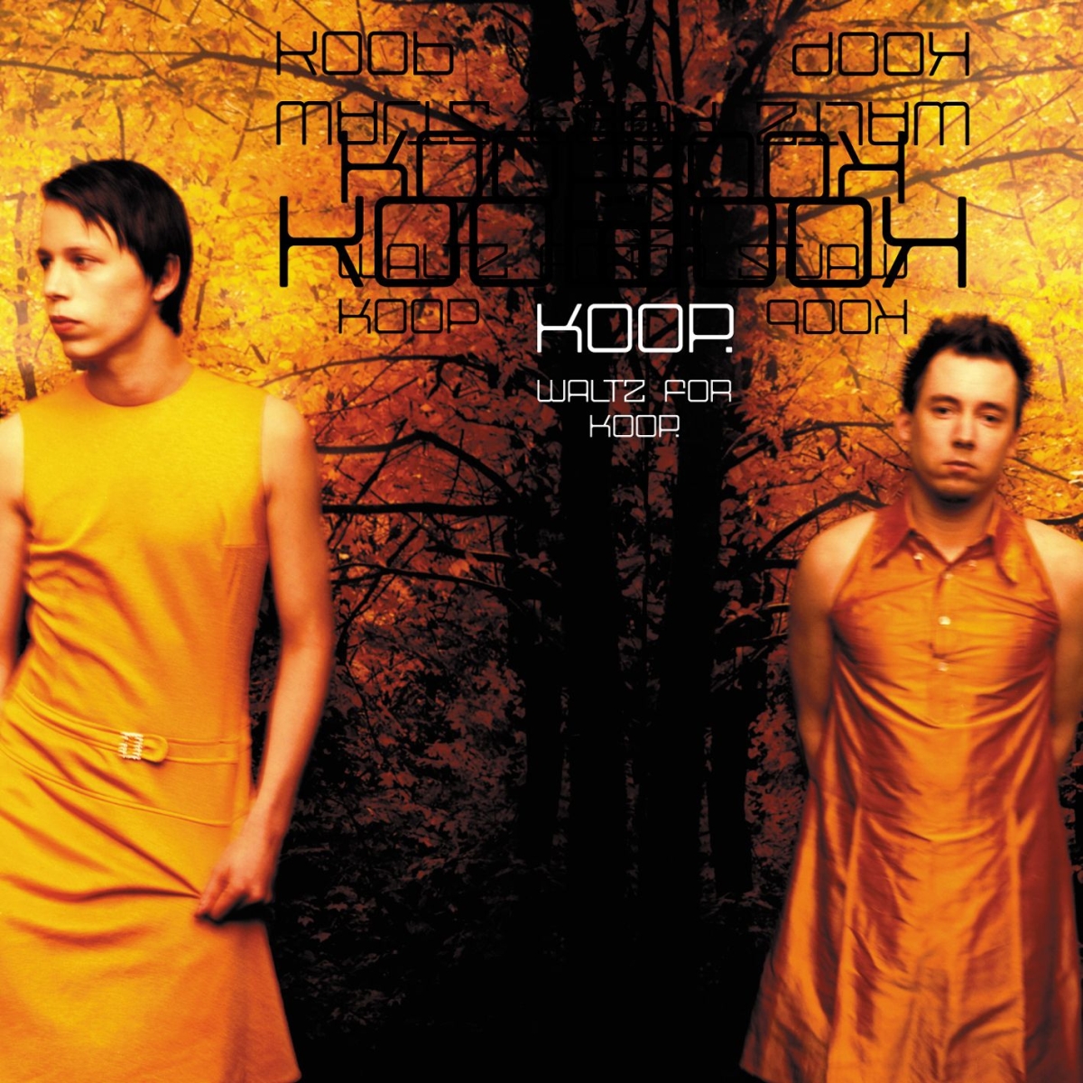 Koop - Waltz For - Used CD image 1