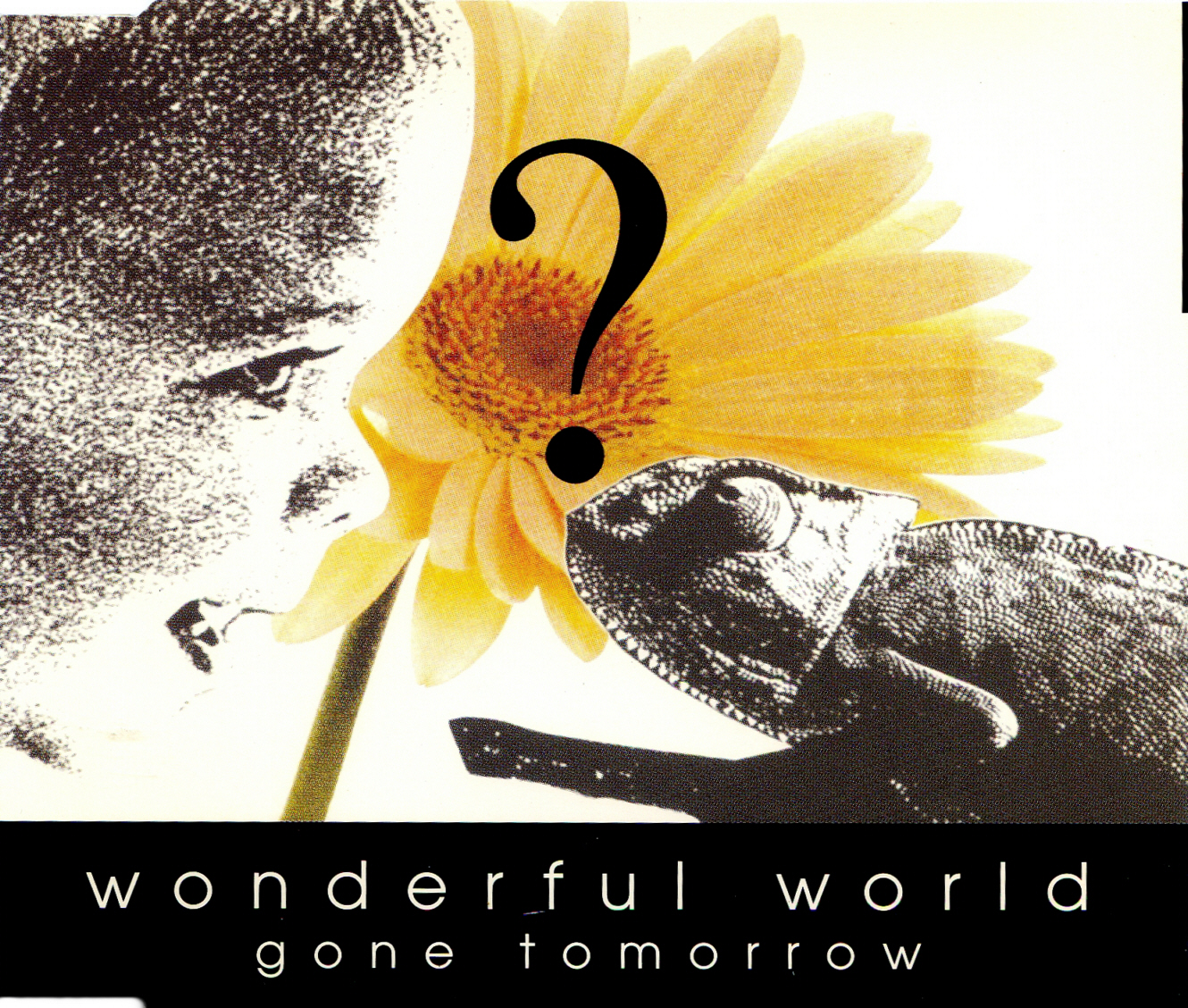 Gone Tomorrow - Wonderful World - Used CD image 1