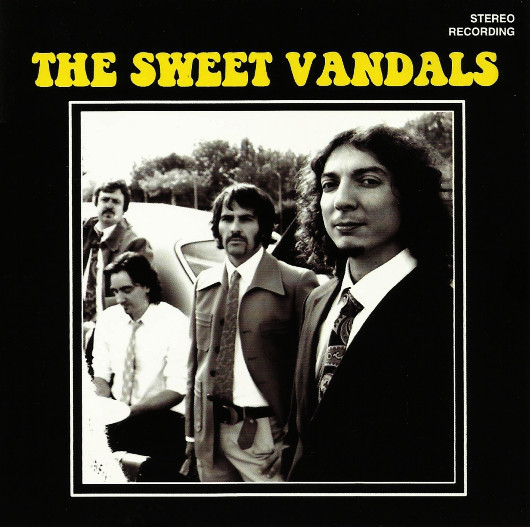 Sweet Vandals - Vinyl Record image 1