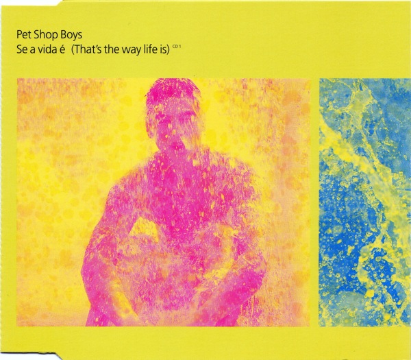 Pet Shop Boys - Se A Vida E (That's The Way Life Is) - Used CD image 1