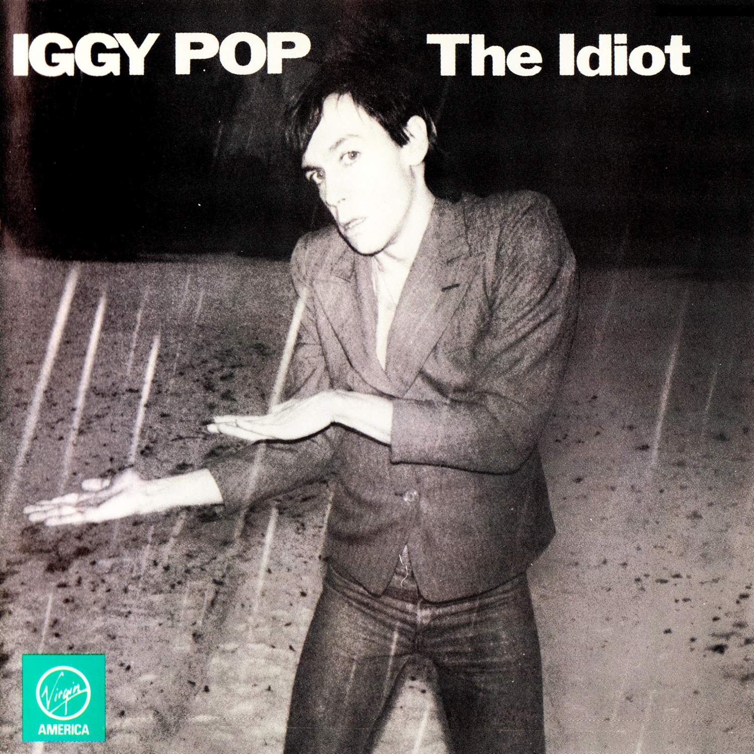 Iggy Pop - Idiot - Used Vinyl Record image 1