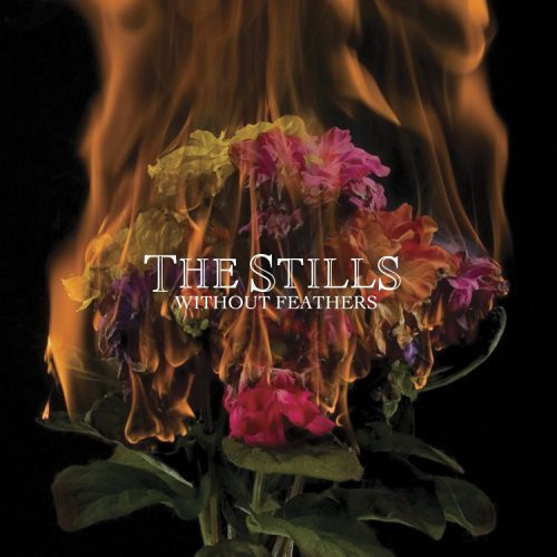 Stills - Without Feathers - Used CD image 1