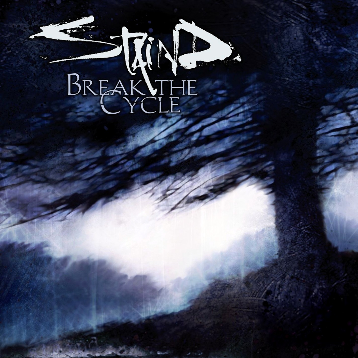 Staind - Break The Cycle - Used CD image 1
