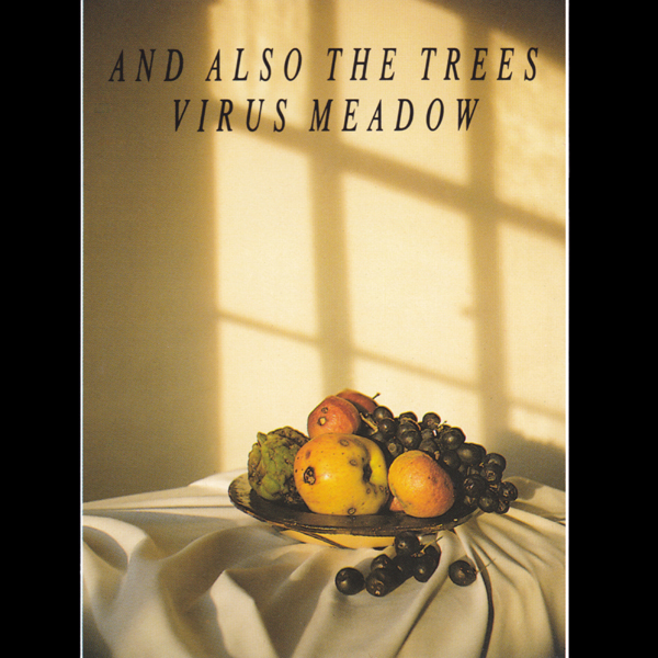 And Also The Trees - Virus Meadow - Used Vinyl Record image 1