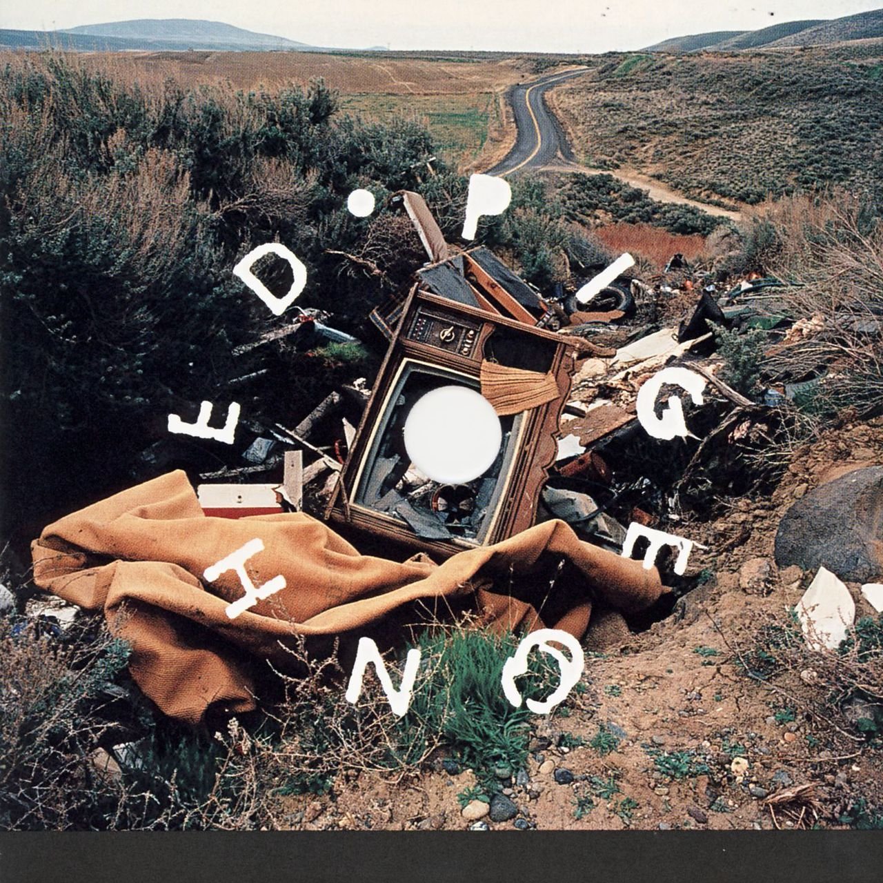 Pigeonhed - Used CD image 1
