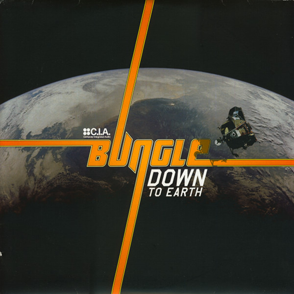 Bungle - Down To Earth - Used Vinyl Record 12" image 1